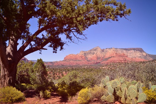 SedonaAZ, Rebecca Drago 1