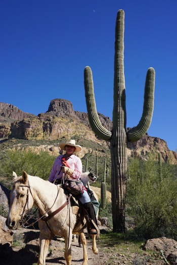 Equestrians riding near Picketpost