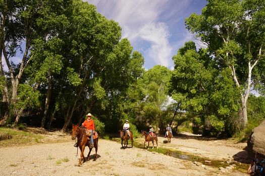 Riding in Cienega Creek