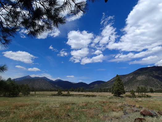 Buffalo Park, Flagstaff