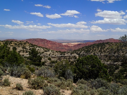 Looking into Utah from the Kaibab Plateau