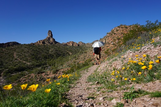 Dale's Butte, Gila River Canyons