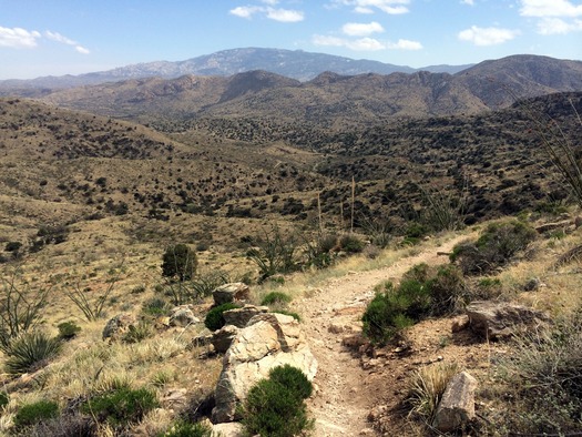 Looking at the Rincons from the Catalinas