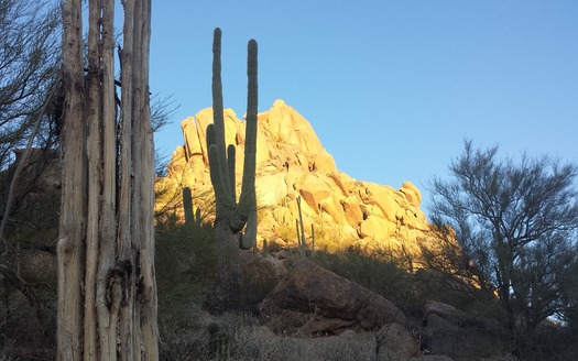 Janina Jamrych, Pinnacle Peak 1