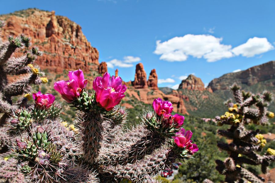 Chapel of Holy Cross, Sedona_credit Courtney Ann Ludwig