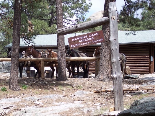 Manning Camp, Rincon Mountains