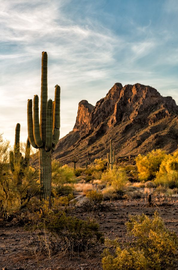 Picacho Peak_credit Raymond Lee