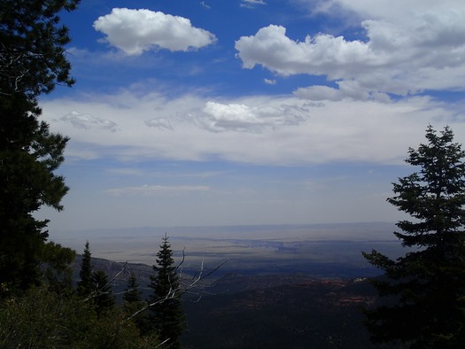 East Rim View, Kaibab Plateau