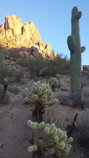 Janina Jamrych, Pinnacle Peak