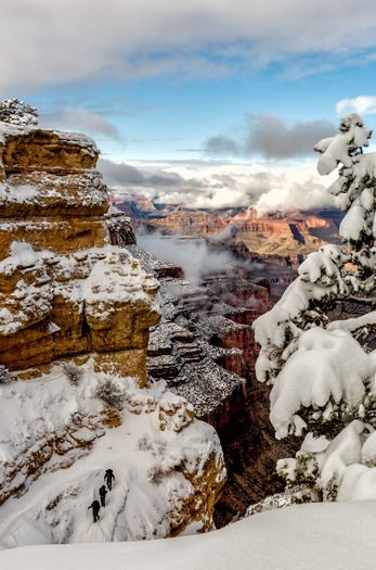 Grand Canyon, Raymond Lee