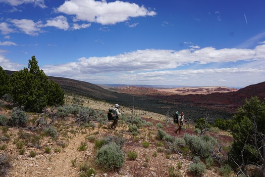 Descending to the Utah border, Buckskin Passage