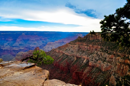 Grand Canyon, Manda Young