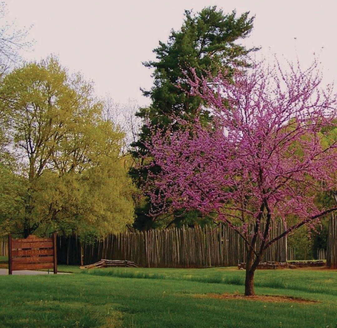 Spring at Historic Bethabara Park