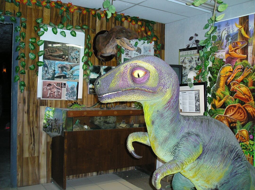 Boyett's Dinosaur