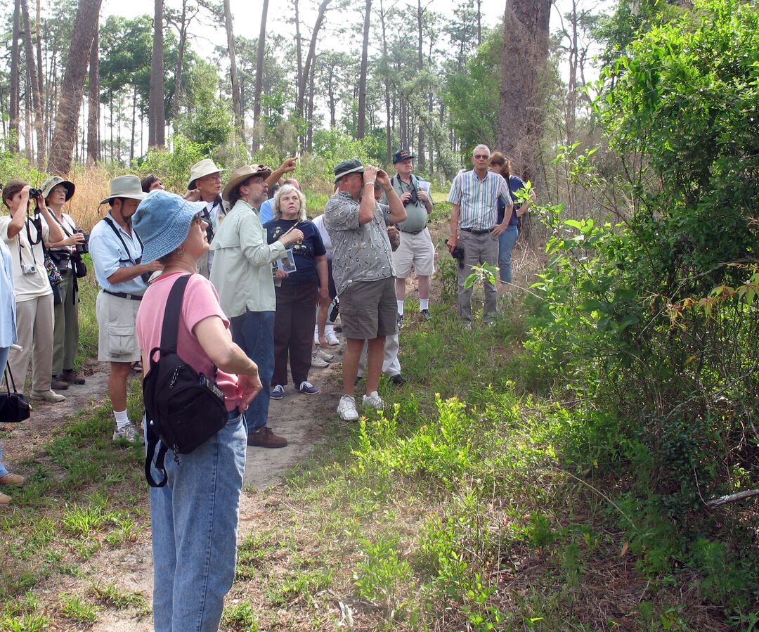 Chinsegut WEA & Nature Center