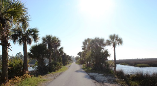 Narrow Roadway