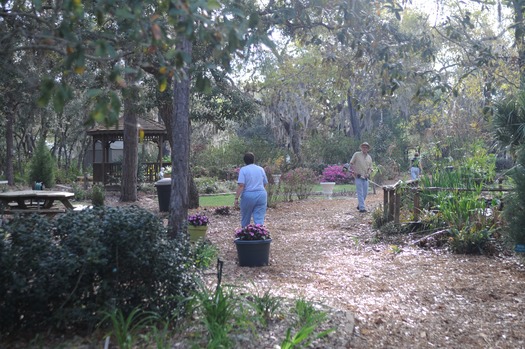 SH Garden Club & Botanical Garden (6)