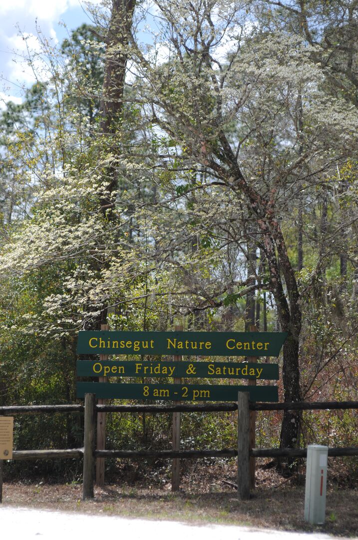 Chinsegut Nature Center (2)