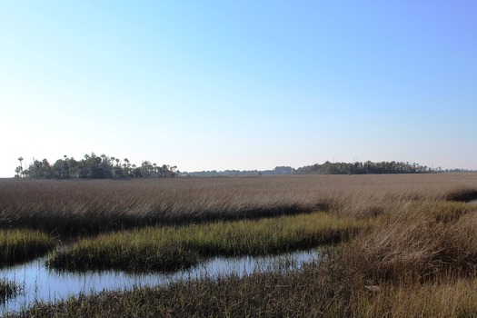 Coastal Marsh Facing W