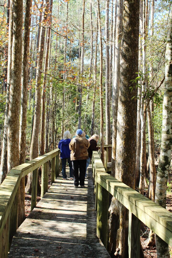 Boardwalk Back 1