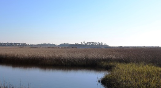 Coastal Marsh Facing SE