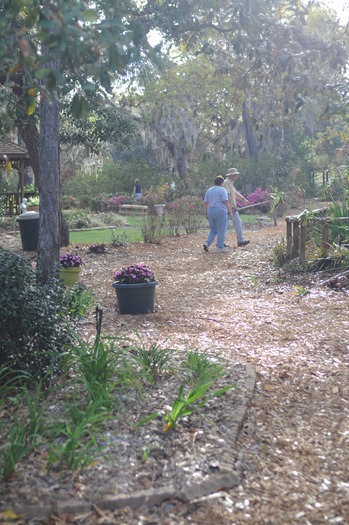 SH Garden Club & Botanical Garden (7)