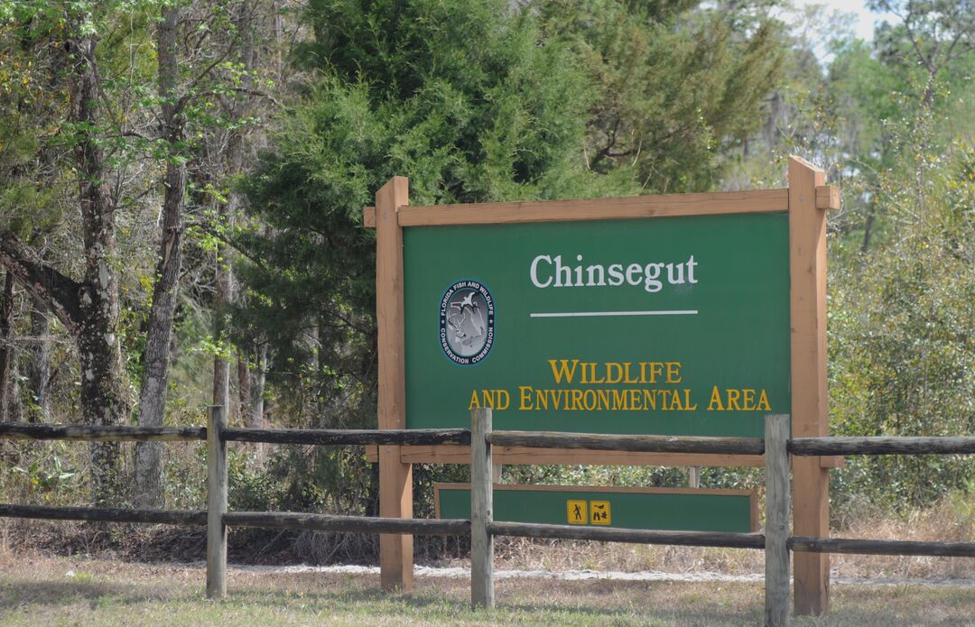 Chinsegut WEA - Conservation Center (CKnudson))