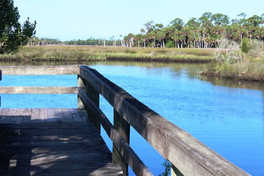 Jenkins Creek 5