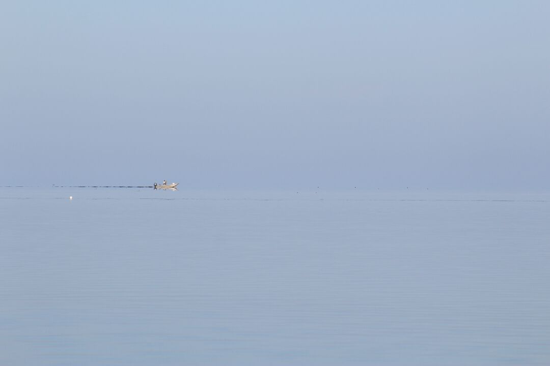 IMG_1324