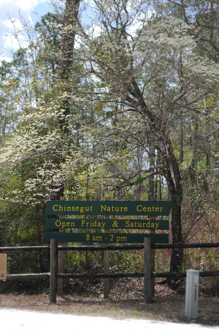 Chinsegut Nature Center (3)
