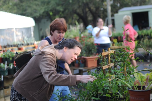 SH Garden Club & Botanical Garden (3)