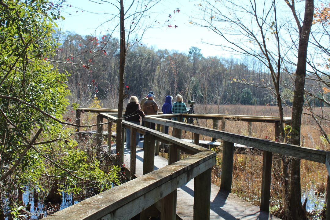 Boardwalk End 1