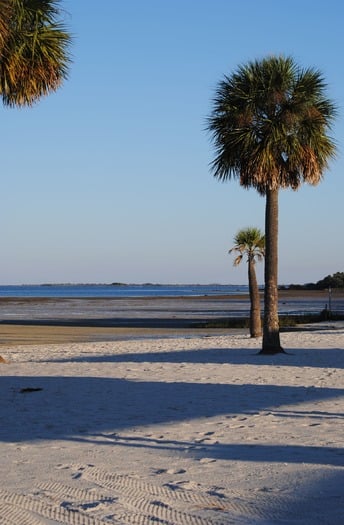 GREAT FL BEACH WALK 036 - ck