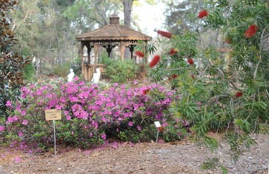 NatureCoastBotanicalGardens