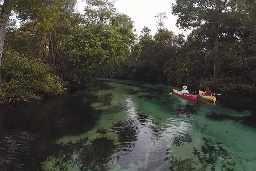 Kayak Pair WW