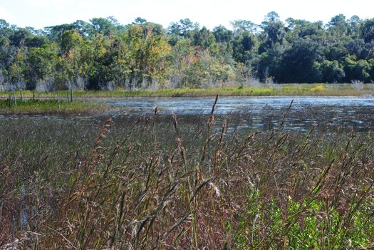 from Wildlife blind 3 - CCC
