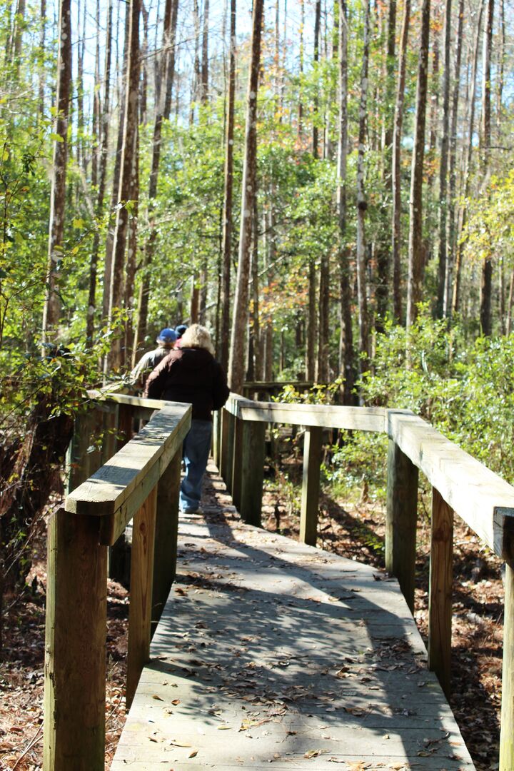 Boardwalk 1