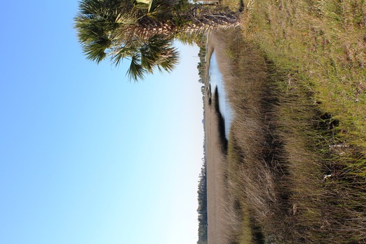 Toward Pine Island