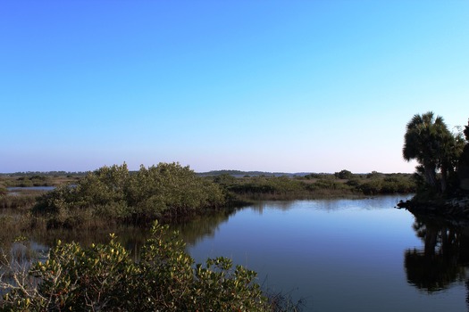 Mangroves Marsh Facing N