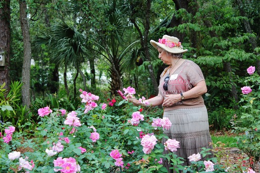 Botanical Garden Lady in Rose Garden