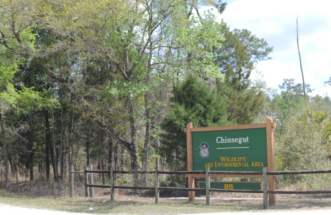 Chinsegut Conservation Center, Brooksville