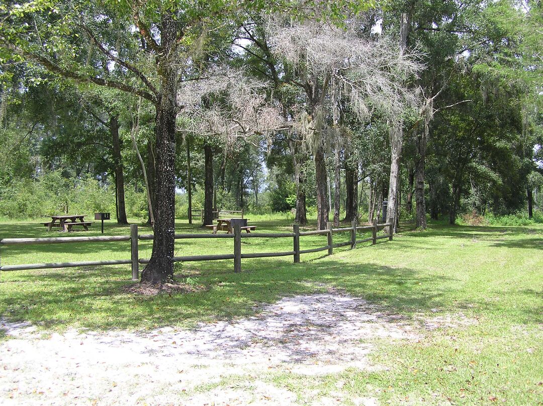 Tucker Hill Trailhead, Withlacoochee State Forest