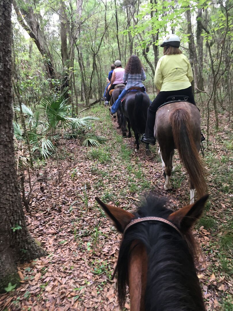 Horse Trail Riders