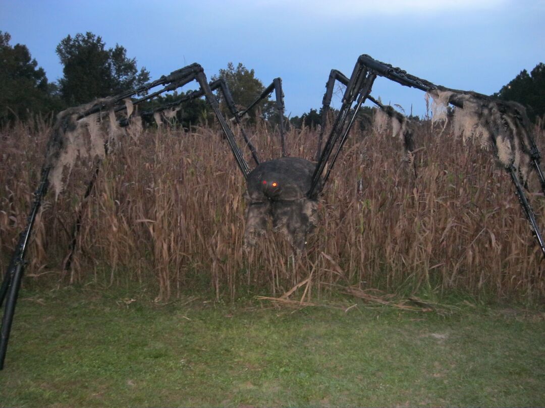 Richards Farm Maze 2