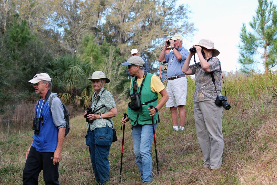 Birding Hiking Peck Sink 1