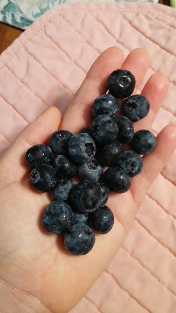 blueberries