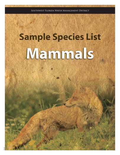 mammals - cover sheet.ai