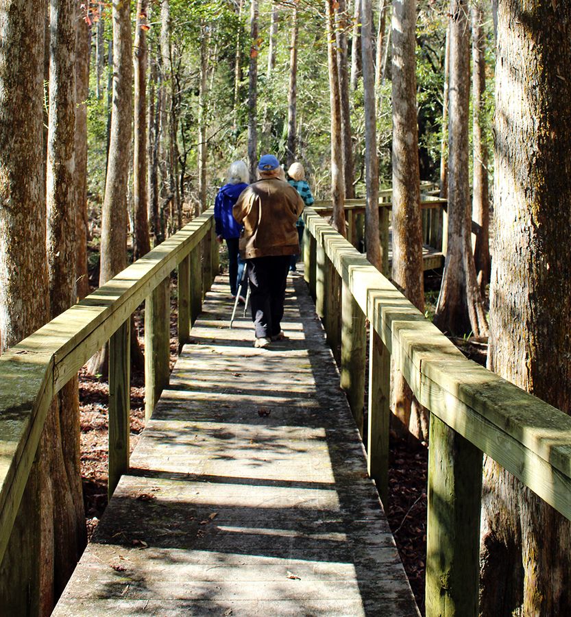 Boardwalk at Chinsegut Conservation Center