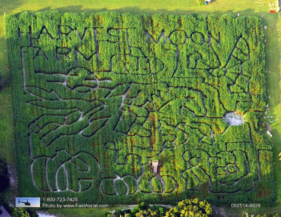 2016 corn maze - Harvest Moon