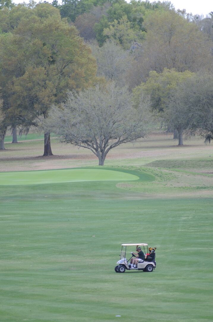 Brooksville Golf (1)